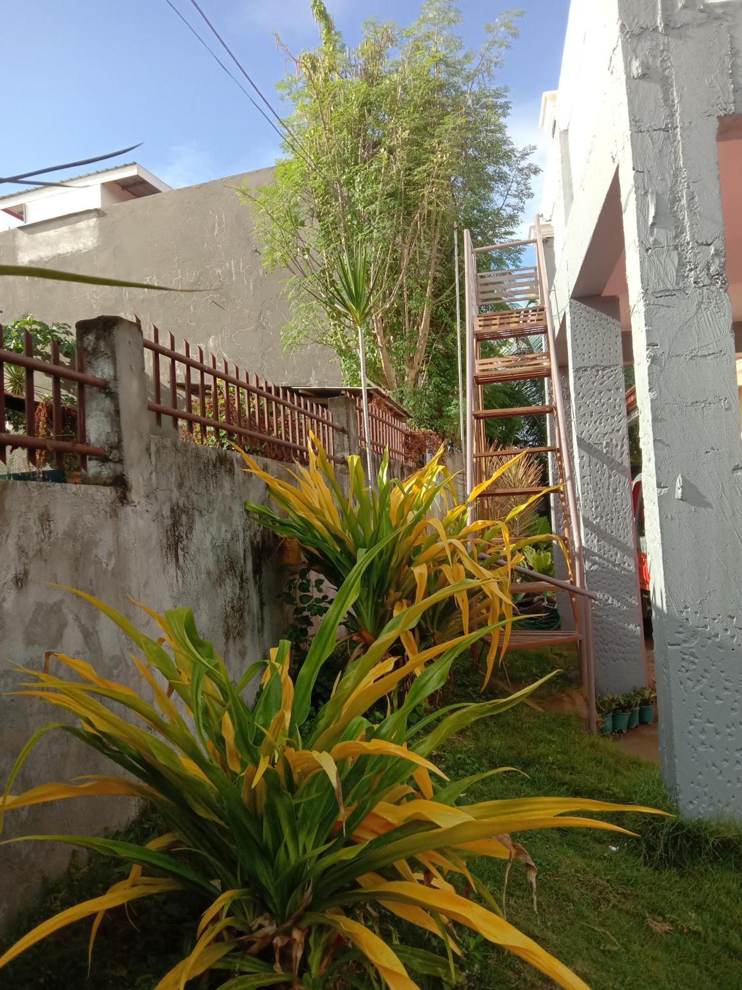 Friz Love Room Rental 산후안 외부 사진